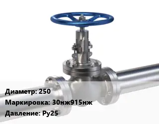 Задвижка нержавеющая 250 30нж915нж Ру25